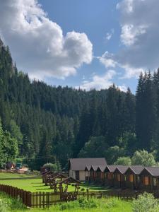 Casutele Suhardul Mic