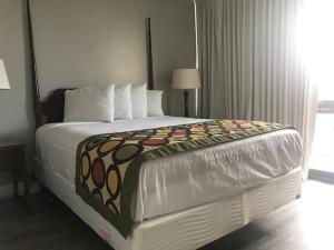 One-Bedroom Suite room in Alamar Resort Inn