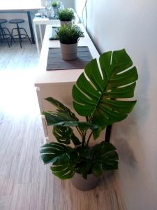 Apartament Be Happy Nr 2