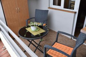 4BD Appartaments with cozy garden