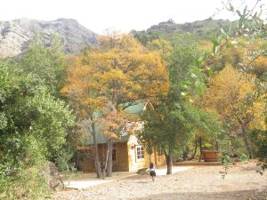 Parque Guaiquivilo Cabaña Puelches