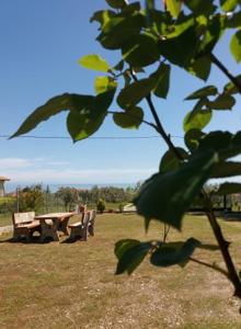 Sunny Apartments, Giannis Apartments 3,2,1 Olympos Greece