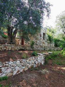 Filoxenia - The Place of Experience