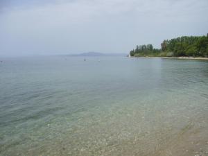 Starfish Koropi Pelion Milies South Pelion