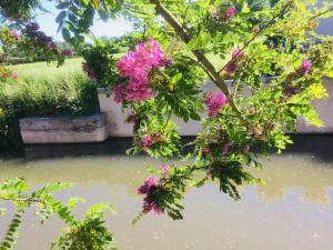 Maisons de vacances Les Moulins de Requeugne : photos des chambres