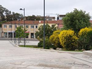 San Simplicio eco-apartment img33