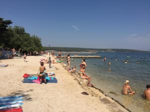 ELA apartmani A2