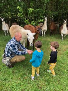 Sejours a la ferme Loire Valley Llama Farm Stay : photos des chambres