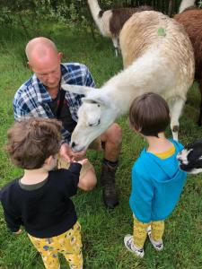 Sejours a la ferme Loire Valley Llama Farm Stay : photos des chambres