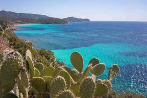 Una splendida vista sulla Cattedrale - Wifi - AC img27