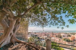 Una splendida vista sulla Cattedrale - Wifi - AC img29