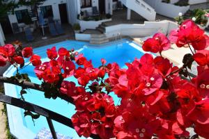 Egli Chania Greece