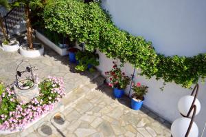 Pension Mando Skiathos Greece