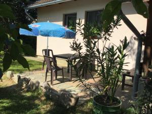 Mandala apartman