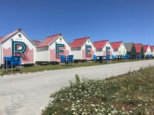 Urban Art by Campigir