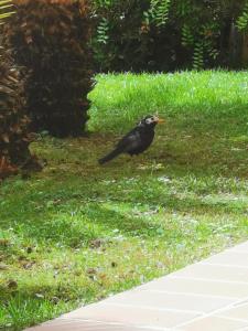 Hotel Arbatasar img80