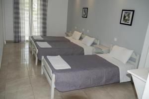 Ammos Apartments Corfu Greece