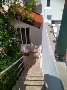 Apartmani Marinka Viskovic