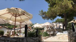 Apartments Villa Macola