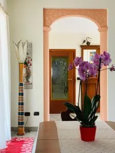 Ambrosia - 鲁法诺