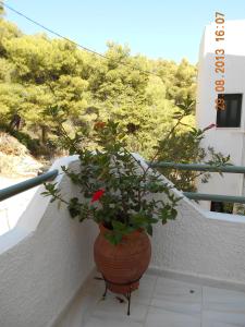 Mina Apartments Poros-Island Greece