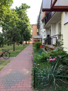 Apartament Chrobrego 269