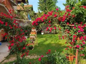 Apartment Kantarije - Njemanica