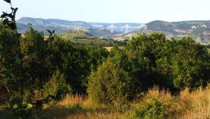 B&B / Chambres d'hotes Casteljosse : nature et serenite : photos des chambres