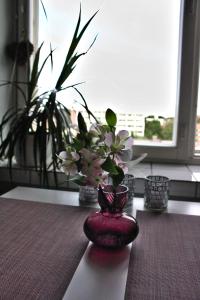 City Apartment Haapaniemenkatu