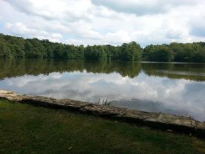 Appartements Gite des etangs de Saint Bale : photos des chambres