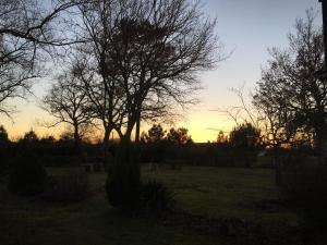 Stemicar dans les Landes