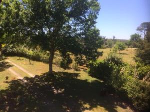 Appartements Stemicar dans les Landes : photos des chambres