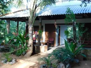 Yala Avian Eye Safari - Kuda Oya