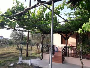 Olympian Garden Home