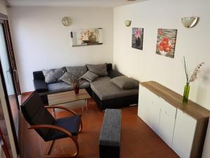 Apartment Novigrad
