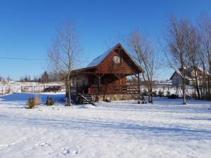 Mazurska Niezapominajka