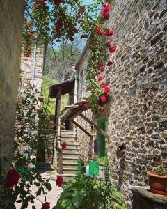 Morfeas Guesthouse Epirus Greece