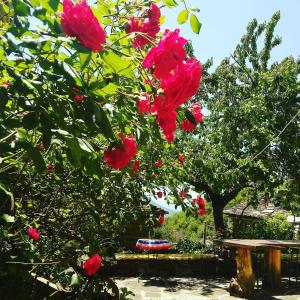 Morfeas Guesthouse Zagori Greece