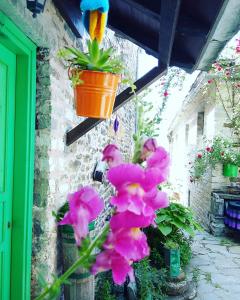 Morfeas Guesthouse Epirus Greece