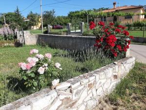 Apartman Paolo 