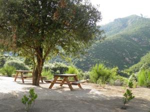 B&B / Chambres d'hotes l'Ogliastru : photos des chambres