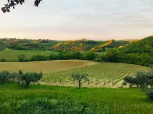 Agriturismo La Valle A Polvereto