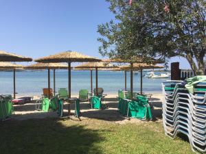 Lazaros Beachfront Apartments & Studios