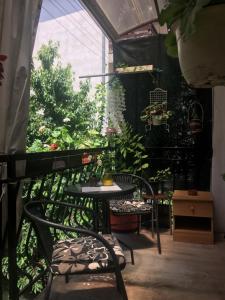 ANI Apartment