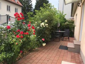 Terrasse Wohnungen mit parking in Zentrum