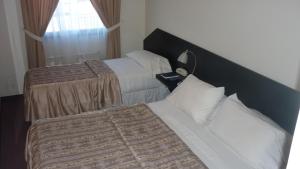 Apart Hotel Austral