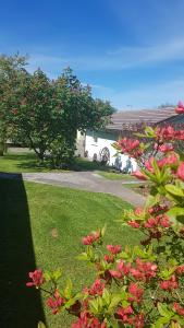 Cedar Bungalow room in Thornbury Holiday Park