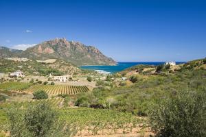 Hotel Punta Moros img32