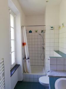 Ongi Etorri photo 9