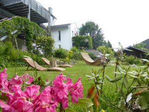 Das Nest Winterberg